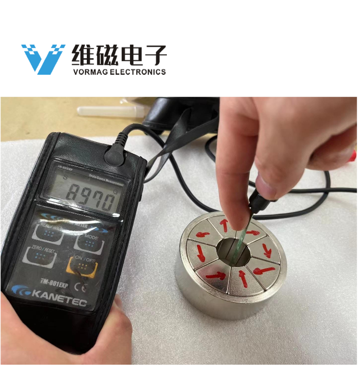 HALBACH 阵列永磁电机组件