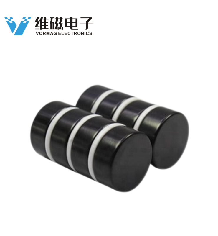 N52 D25X10mm Epoxy Coated Neodymium Disc Magnet