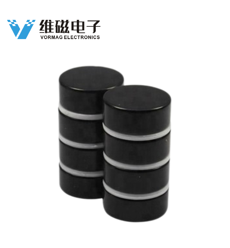 N52 D25X10mm Epoxy Coated Neodymium Disc Magnet