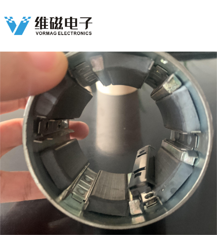 Ferrite Magnets Rotor Assembly with Internal Magnets